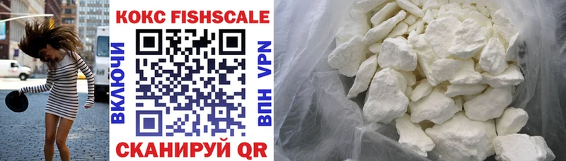 Cocaine FishScale  Купить закладки  Всеволожск 