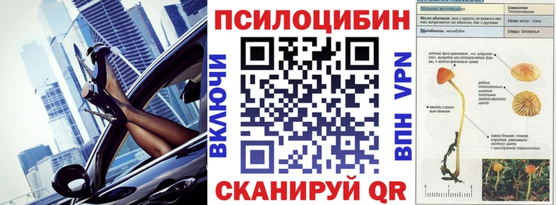 Галлюциногенные грибы Cubensis Купить Всеволожск
